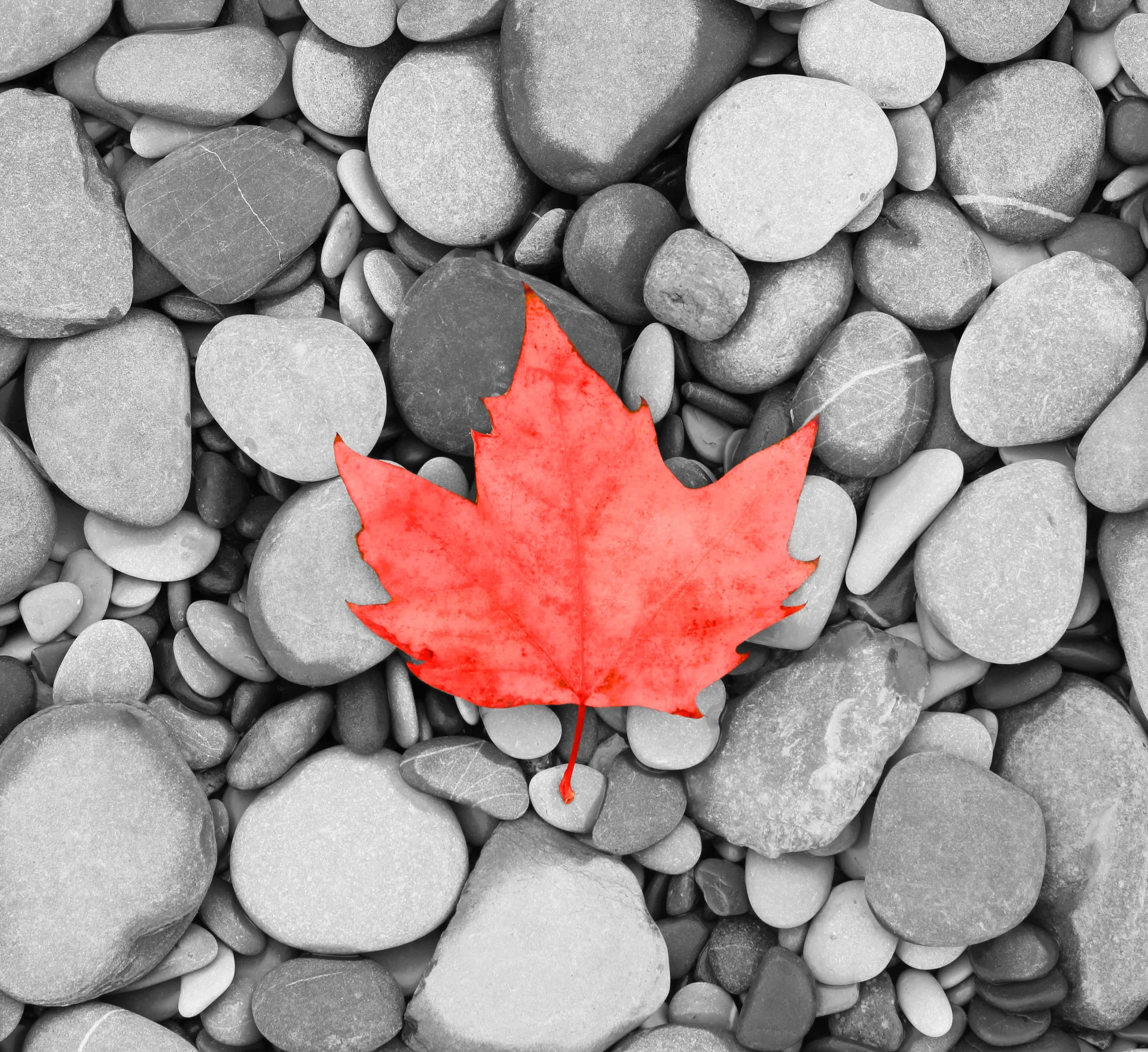 authentication legalization services